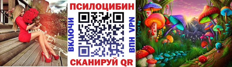 наркотики  Ардатов  Псилоцибиновые грибы Psilocybe 